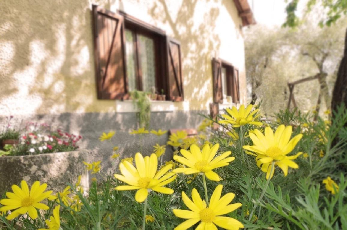 Agriturismo Macchiapiede Сала Консилина Екстериор снимка